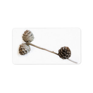 Etiqueta Pine cone