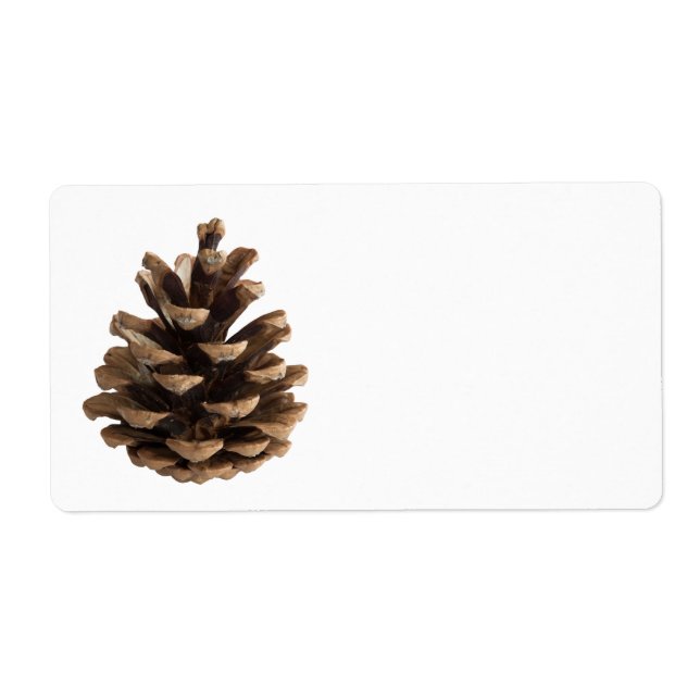 Etiqueta pinecona do solteiro (Frente)