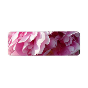 Etiqueta Pink Peony   jardim floral caseiro
