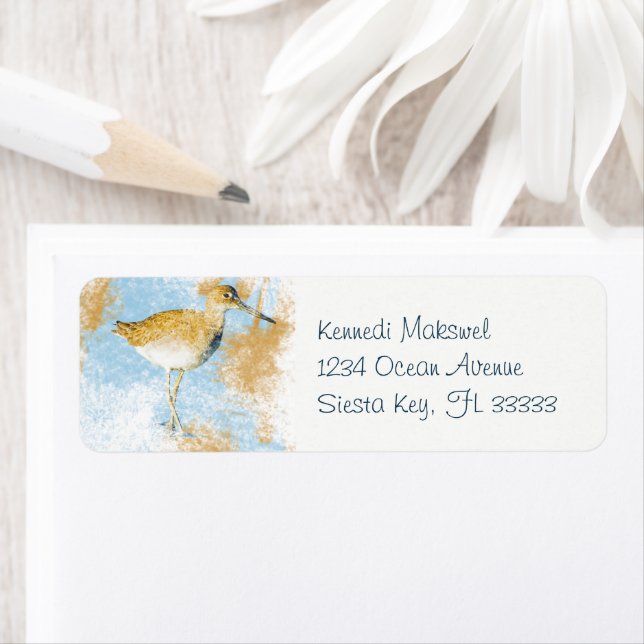 Etiqueta Pintado Beach Coastal Willet Bird (Insitu)