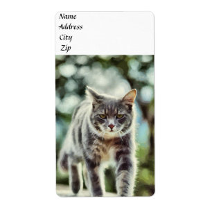 Etiqueta Pintura de gatos