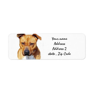 Etiqueta Pitbull Terrier