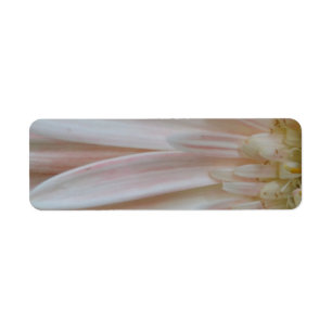 Etiqueta Planta para a flor da cura