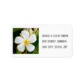 Etiqueta Plumeria Branca Tropical - Novos Começos - Casamen