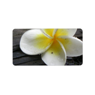 Etiqueta Plumeria Business Address/Shipping Labels