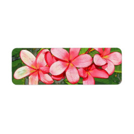 Etiqueta Plumérias