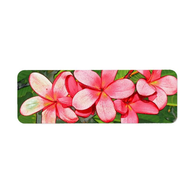Etiqueta Plumérias (Frente)