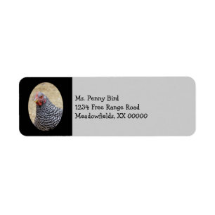 Etiqueta Plymouth Barred Rock Hen Fotografia