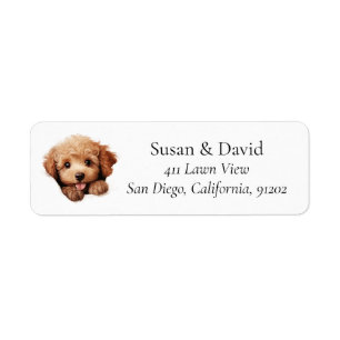 Etiqueta Poodle Dog Breed Pet Amantes