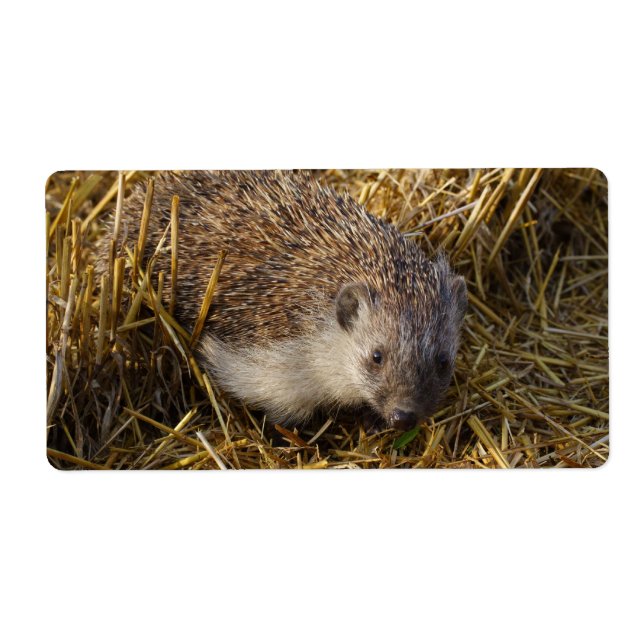 Etiqueta Porco Doce Em Campo De Stubble (Frente)
