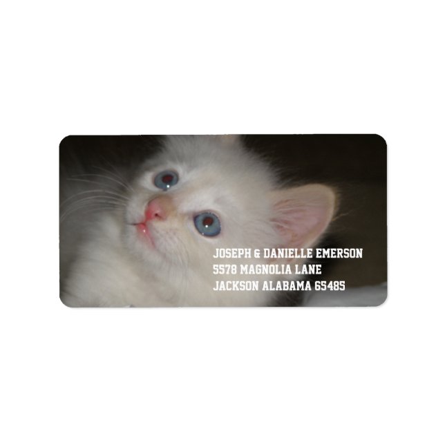 Etiqueta Precioso Kitten (Frente)