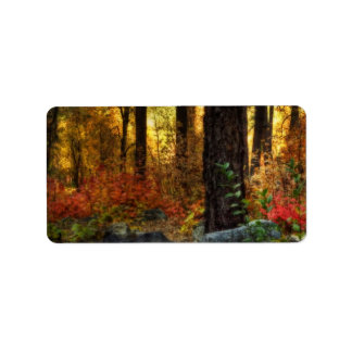 Etiqueta Precoce da Manhã