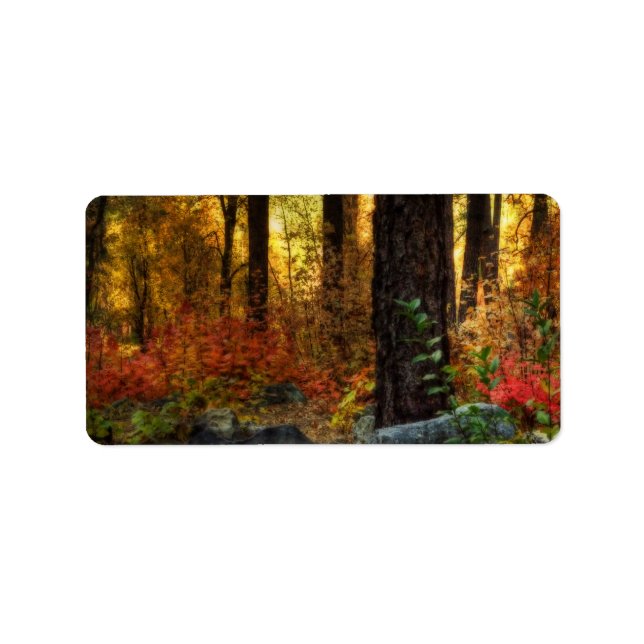 Etiqueta Precoce da Manhã (Frente)