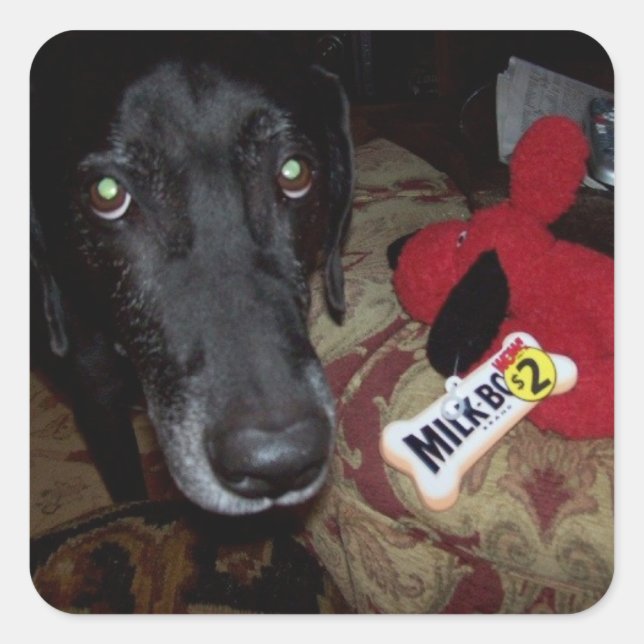 etiqueta preta de laboratório/ brinquedo para enve (Frente)