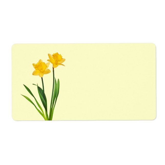 Etiqueta Primavera amarelo Daffodils - Daffodil Modelo (Frente)