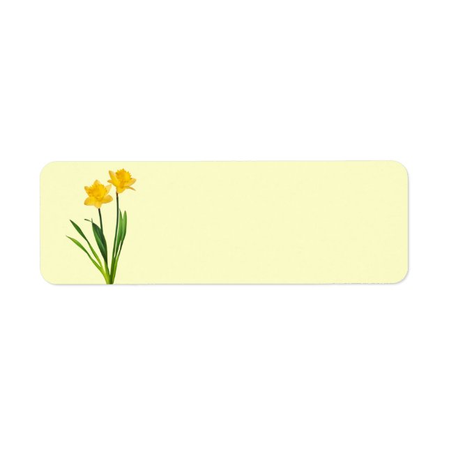Etiqueta Primavera amarelo Daffodils - Daffodil Modelo (Frente)