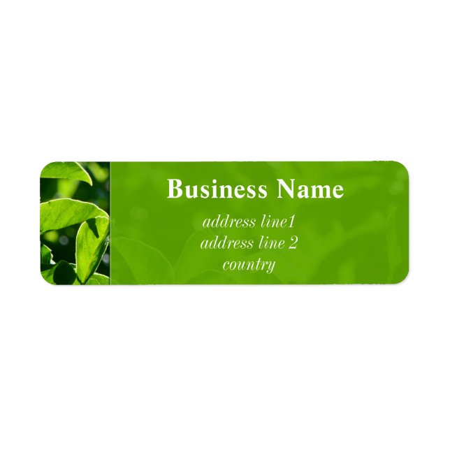 Etiqueta Primavera de retoque, endereço de folhas verdes de (Frente)
