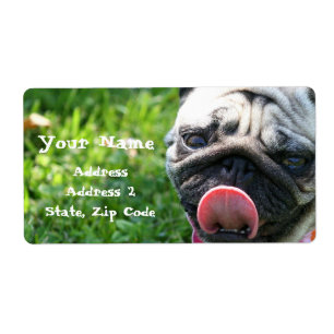 Etiqueta Pug Address Labels