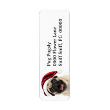 Pug Feliz Usando Chapéu Vermelho de Natal Brilhant