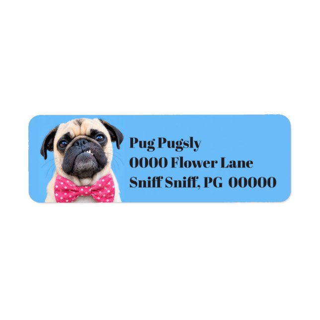 Etiqueta Pug Usando Laço Rosa (Frente)