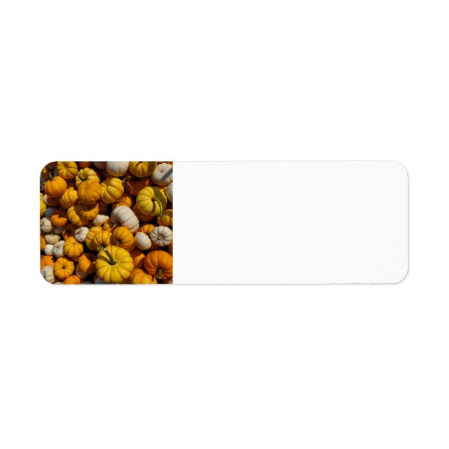 Etiqueta Pumpkins (Frente)