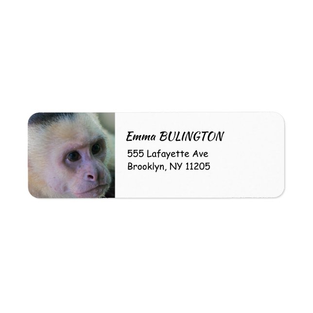 Etiqueta Pura vida para macaco-prego branco (Frente)