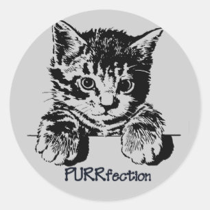 Etiqueta Purrfection do gato