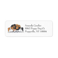 Quatro Cavalier King Charles Spaniels Simple