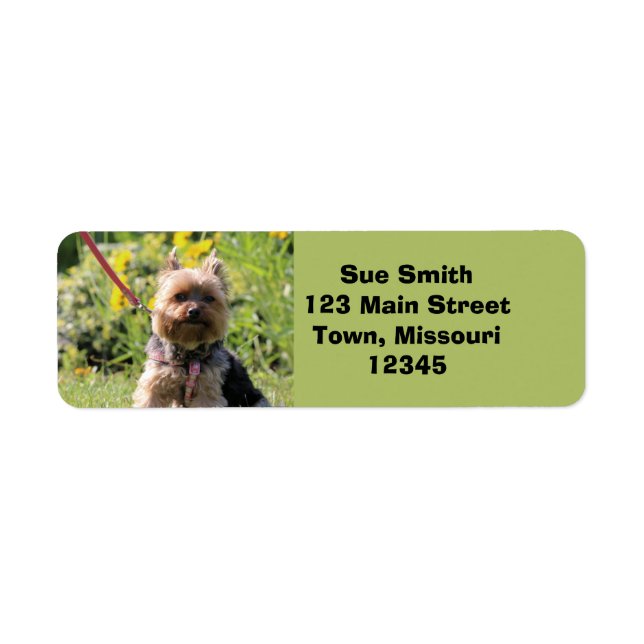 Etiqueta Querido simples (Frente)