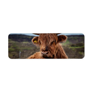 Etiqueta Rancheiro escocês de Longhorn Bull da vaca das