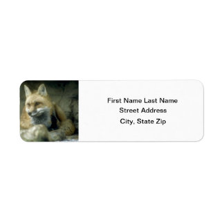 Etiqueta Raposa Vermelha