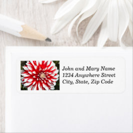 Etiqueta Red and White Dahlia Floral Return Address