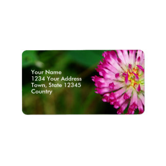 Etiqueta Red Clover