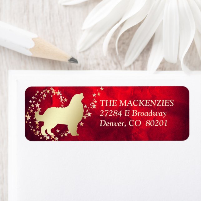 Etiqueta Red Dourado Star Swirl Bernese Mountain Dog (Insitu)