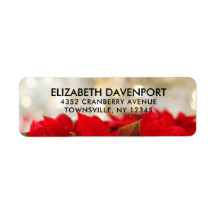 Etiqueta Red Poinsettias com Ouro Bokeh Natal