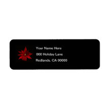 Red Poinsettias em Preto