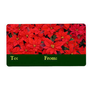 Etiqueta Red Poinsettias I Christmas Holiday Floral Photo