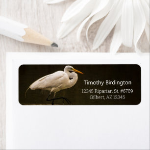 Etiqueta Reflexão De Aves Com O Excelente Branco Comum Na
