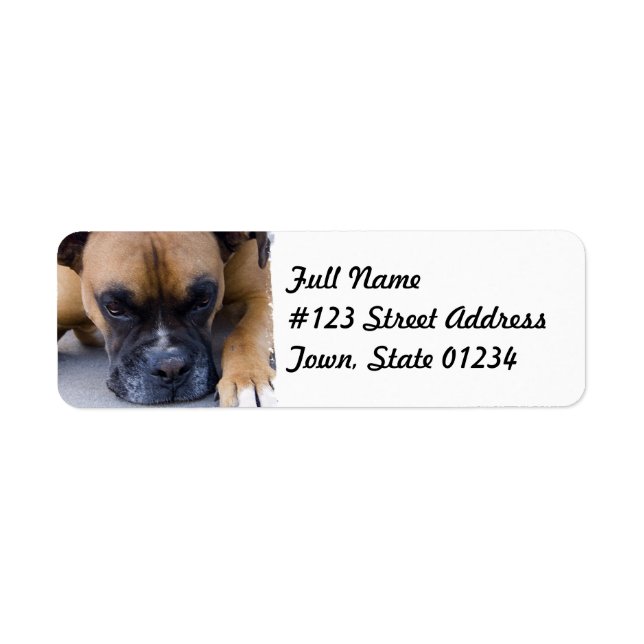 Etiqueta Rest Boxer Dog Mailing Label (Frente)
