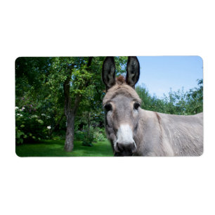 Etiqueta Retrato Bonito De Donkey