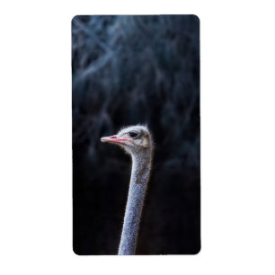 Etiqueta retrato de avestruz