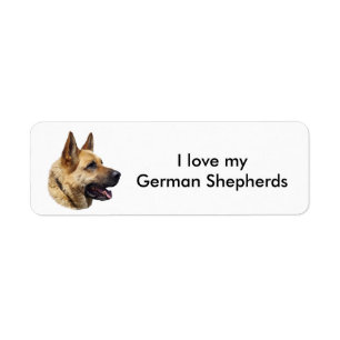 Etiqueta Retrato de cão German shepherd alsaciano