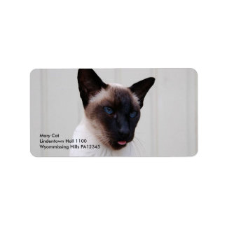 Etiqueta Retrato de Cat Siamese