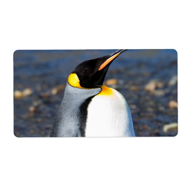 Etiqueta Retrato de pinguim (Frente)