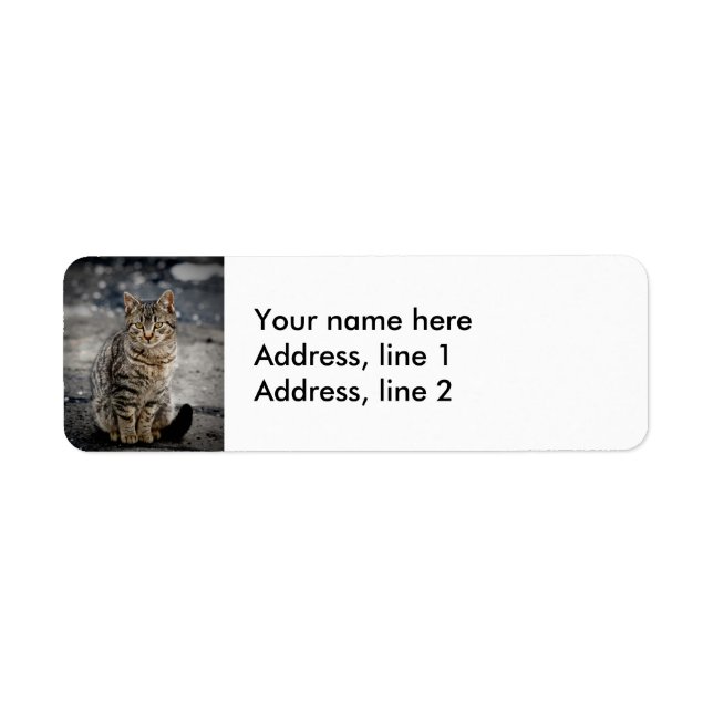 Etiqueta Retrato de um gato (Frente)