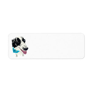 Etiqueta Return Address Labels with Scarfed Border Collie