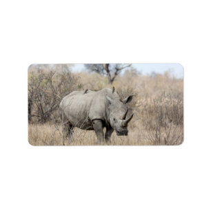 Etiqueta Rhino Branco