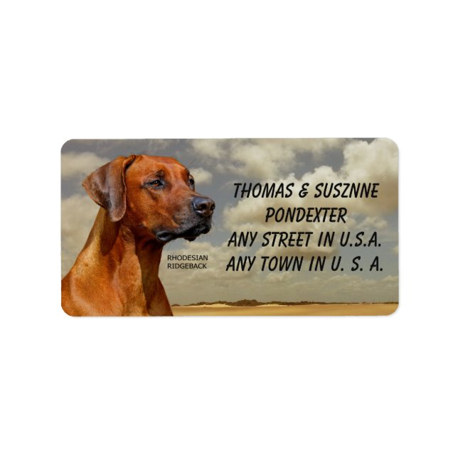 ETIQUETA RIDGBACK RHODESIAN (Frente)