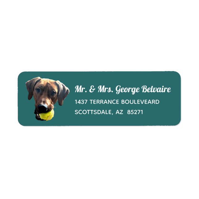 Etiqueta Ridgeback Rhodesian Address Labels (Frente)
