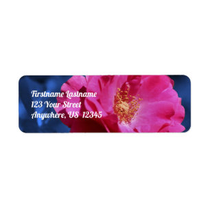 Etiqueta rosa vermelha No Endereço Do Flor De Ponta Azul